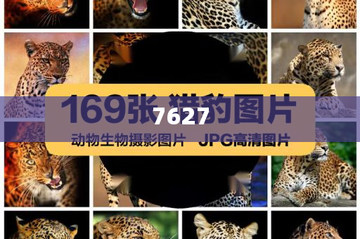未來(lái)5年城市將有這些新變化,鞏固解答、專家解讀解釋與落實(shí)?-小心虛假鼓吹