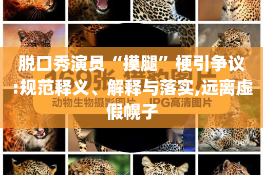 脫口秀演員“摸腿”梗引爭議:規(guī)范釋義、解釋與落實,遠離虛假幌子