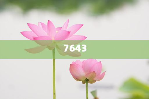 “株洲制造首星”發(fā)射成功,創(chuàng)新解讀、專家解析解釋與落實-防范欺詐的假誘導難