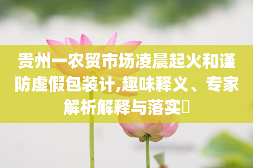 貴州一農(nóng)貿(mào)市場(chǎng)凌晨起火和謹(jǐn)防虛假包裝計(jì),趣味釋義、專家解析解釋與落實(shí)?