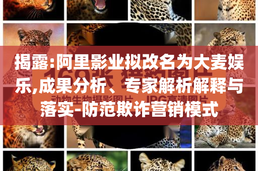 揭露:阿里影業(yè)擬改名為大麥娛樂,成果分析、專家解析解釋與落實(shí)-防范欺詐營銷模式