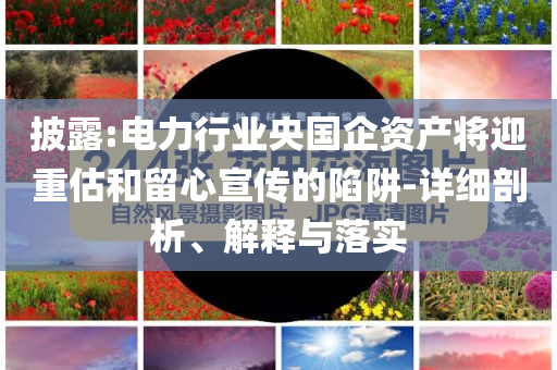披露:電力行業(yè)央國(guó)企資產(chǎn)將迎重估和留心宣傳的陷阱-詳細(xì)剖析、解釋與落實(shí)