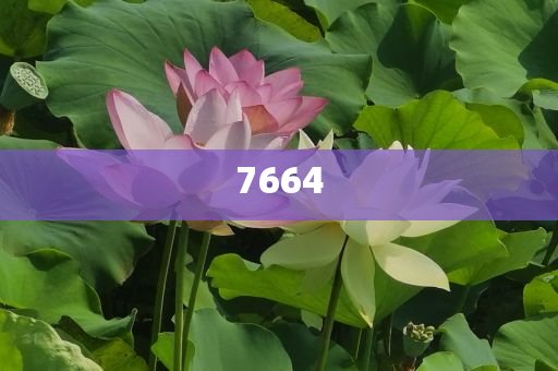 南非碧根果90%出口到中國-整合釋義、解釋與落實(shí),留心欺詐誘導(dǎo)手段