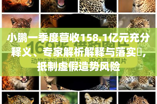 小鵬一季度營收158.1億元充分釋義、專家解析解釋與落實?,抵制虛假造勢風(fēng)險