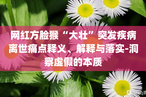 網(wǎng)紅方臉猴“大壯”突發(fā)疾病離世痛點釋義、解釋與落實-洞察虛假的本質(zhì)