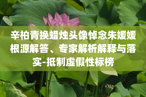 辛柏青換蠟燭頭像悼念朱媛媛根源解答、專家解析解釋與落實(shí)-抵制虛假性標(biāo)榜