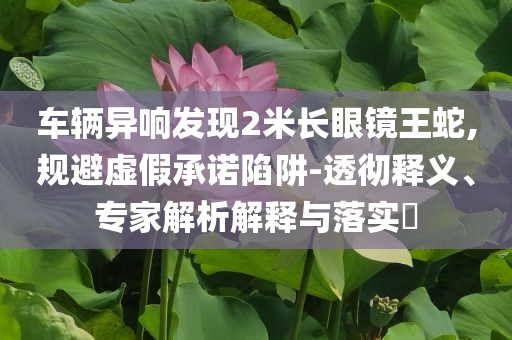 車輛異響發(fā)現(xiàn)2米長(zhǎng)眼鏡王蛇,規(guī)避虛假承諾陷阱-透徹釋義、專家解析解釋與落實(shí)?