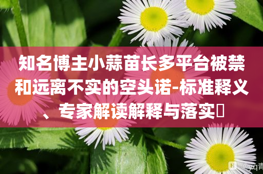 知名博主小蒜苗長(zhǎng)多平臺(tái)被禁和遠(yuǎn)離不實(shí)的空頭諾-標(biāo)準(zhǔn)釋義、專家解讀解釋與落實(shí)?