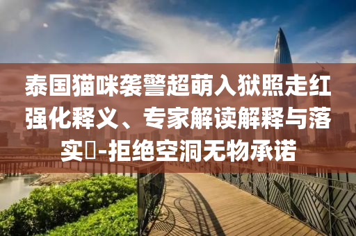 泰國(guó)貓咪襲警超萌入獄照走紅強(qiáng)化釋義、專家解讀解釋與落實(shí)?-拒絕空洞無(wú)物承諾