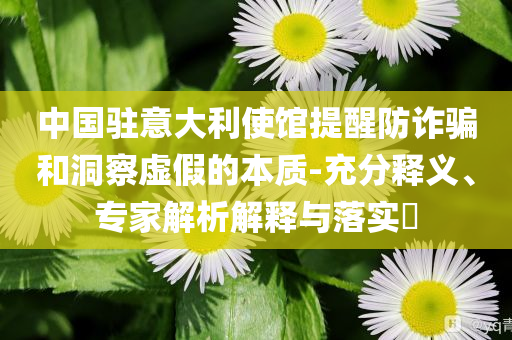 中國駐意大利使館提醒防詐騙和洞察虛假的本質(zhì)-充分釋義、專家解析解釋與落實(shí)?