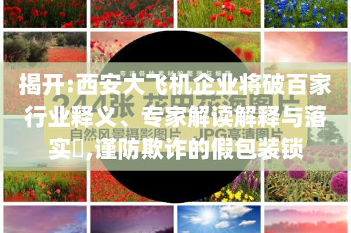 揭開:西安大飛機(jī)企業(yè)將破百家行業(yè)釋義、專家解讀解釋與落實(shí)?,謹(jǐn)防欺詐的假包裝鎖