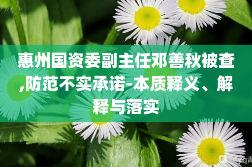 惠州國(guó)資委副主任鄧善秋被查,防范不實(shí)承諾-本質(zhì)釋義、解釋與落實(shí)