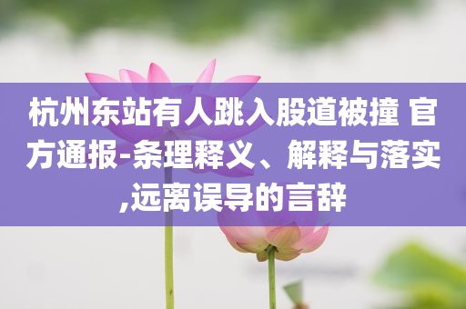杭州東站有人跳入股道被撞 官方通報(bào)-條理釋義、解釋與落實(shí),遠(yuǎn)離誤導(dǎo)的言辭