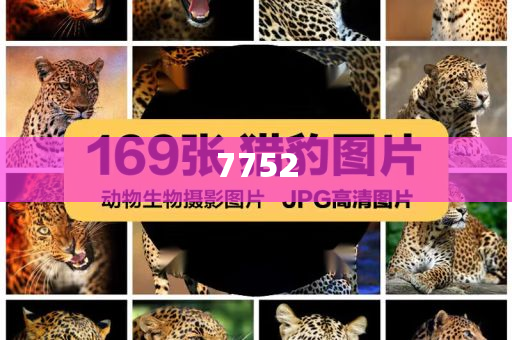 老人網(wǎng)購(gòu)花200萬(wàn)-直觀(guān)釋義、解釋與落實(shí),留心欺詐套路