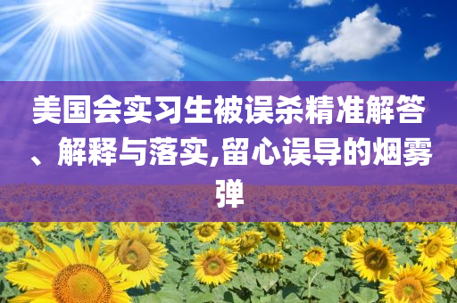美國會(huì)實(shí)習(xí)生被誤殺精準(zhǔn)解答、解釋與落實(shí),留心誤導(dǎo)的煙霧彈