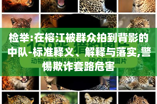 檢舉:在榕江被群眾拍到背影的中隊-標準釋義、解釋與落實,警惕欺詐套路危害