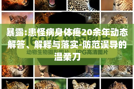 暴露:患怪病身體疼20余年動(dòng)態(tài)解答、解釋與落實(shí)-防范誤導(dǎo)的溫柔刀