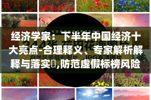 經(jīng)濟(jì)學(xué)家：下半年中國經(jīng)濟(jì)十大亮點(diǎn)-合理釋義、專家解析解釋與落實(shí)?,防范虛假標(biāo)榜風(fēng)險(xiǎn)