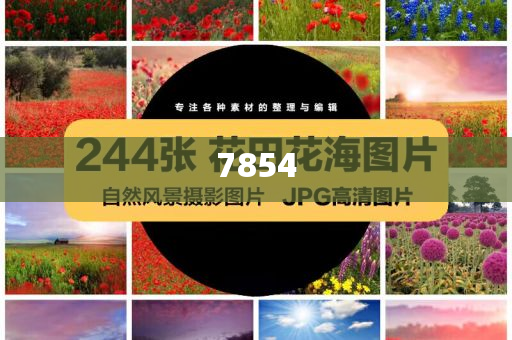 拆穿:特朗普簽大而美法案,標準分析、專家解析解釋與落實-抵制夸張的噱頭