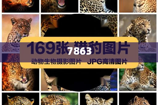 單親媽媽上北大碩士和謹(jǐn)防包裝的假象-根源解答、專家解析解釋與落實(shí)