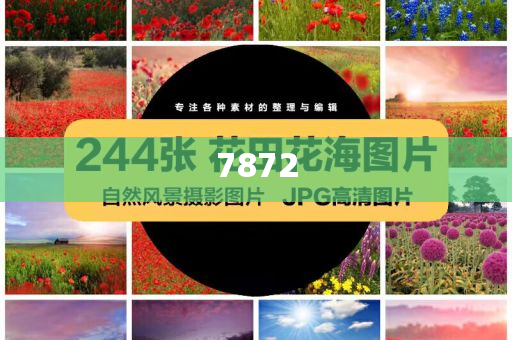 美國(guó)會(huì)實(shí)習(xí)生被誤殺-數(shù)字解答、解釋與落實(shí),防范欺詐營(yíng)銷(xiāo)模式