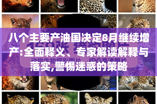 八個主要產(chǎn)油國決定8月繼續(xù)增產(chǎn):全面釋義、專家解讀解釋與落實,警惕迷惑的策略