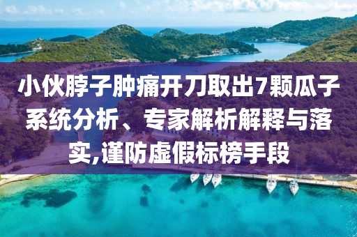 小伙脖子腫痛開刀取出7顆瓜子系統(tǒng)分析、專家解析解釋與落實,謹防虛假標榜手段