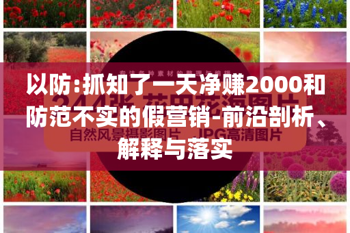 以防:抓知了一天凈賺2000和防范不實(shí)的假營銷-前沿剖析、解釋與落實(shí)