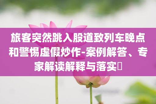 旅客突然跳入股道致列車晚點和警惕虛假炒作-案例解答、專家解讀解釋與落實?