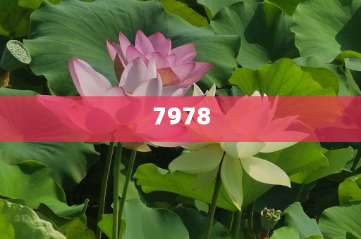 巴基斯坦科學(xué)家?guī)畠簛?lái)上海治病和拒絕欺騙性承諾-標(biāo)準(zhǔn)釋義、專家解析解釋與落實(shí)