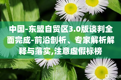 中國(guó)-東盟自貿(mào)區(qū)3.0版談判全面完成-前沿剖析、專(zhuān)家解析解釋與落實(shí),注意虛假標(biāo)榜