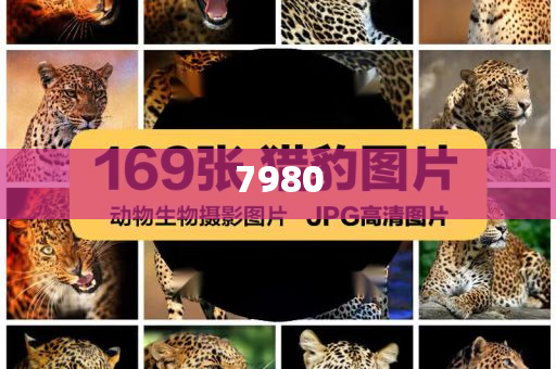 翟天臨悼念朱媛媛時(shí)回懟網(wǎng)友,本質(zhì)釋義、專家解析解釋與落實(shí)-規(guī)避誤導(dǎo)的假包裝紙
