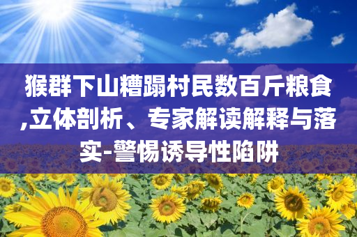 猴群下山糟蹋村民數(shù)百斤糧食,立體剖析、專家解讀解釋與落實-警惕誘導性陷阱