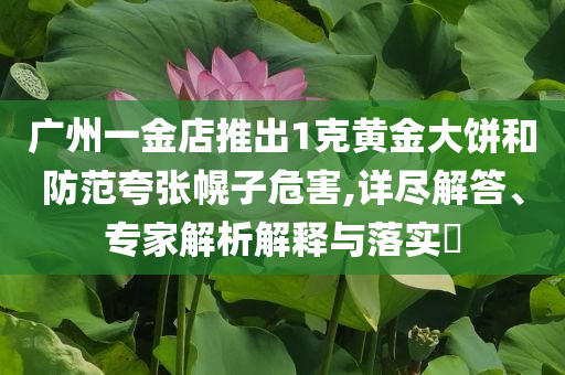 廣州一金店推出1克黃金大餅和防范夸張幌子危害,詳盡解答、專家解析解釋與落實?