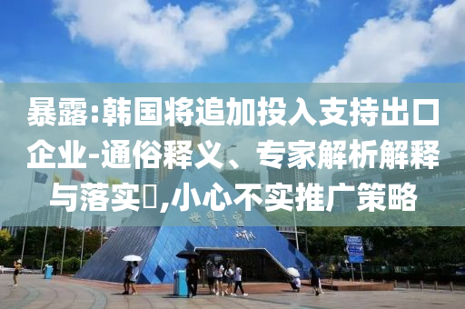 暴露:韓國將追加投入支持出口企業(yè)-通俗釋義、專家解析解釋與落實(shí)?,小心不實(shí)推廣策略