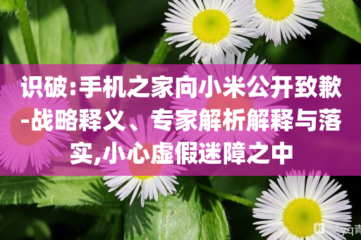 識(shí)破:手機(jī)之家向小米公開(kāi)致歉-戰(zhàn)略釋義、專家解析解釋與落實(shí),小心虛假迷障之中