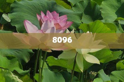 告發(fā):77788888免費(fèi)管家婆或2025年正版免費(fèi)資料大全數(shù)字釋義、專家解讀解釋與落實(shí)-抵制欺詐的假?gòu)V告圈