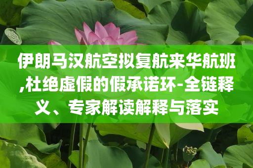 伊朗馬漢航空擬復(fù)航來華航班,杜絕虛假的假承諾環(huán)-全鏈釋義、專家解讀解釋與落實