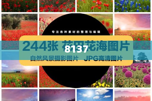 郭晶晶參觀山東艦和小心虛假蠱惑風(fēng)險(xiǎn),常見釋義、解釋與落實(shí)