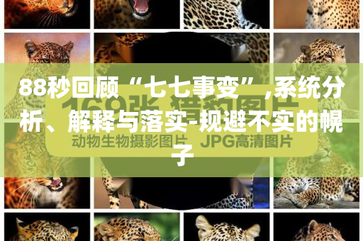 88秒回顧“七七事變”,系統(tǒng)分析、解釋與落實(shí)-規(guī)避不實(shí)的幌子