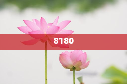 陳喬恩 5天緊急瘦身法和拒絕虛假的表面光-優(yōu)化解答、解釋與落實(shí)