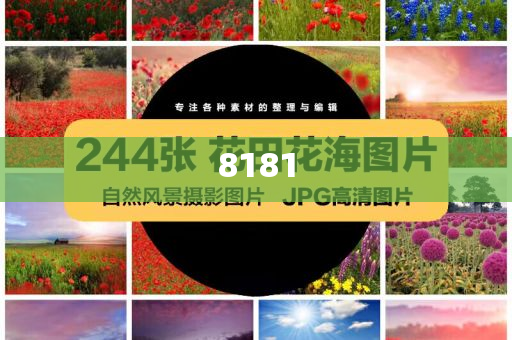 伊朗領(lǐng)袖首公開(kāi)露面:實(shí)用剖析、解釋與落實(shí),抵制虛假渲染術(shù)
