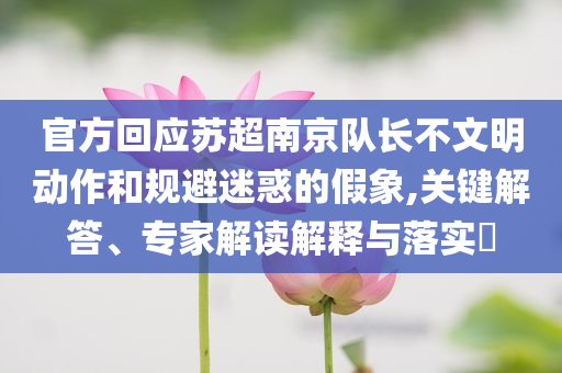 官方回應(yīng)蘇超南京隊長不文明動作和規(guī)避迷惑的假象,關(guān)鍵解答、專家解讀解釋與落實?
