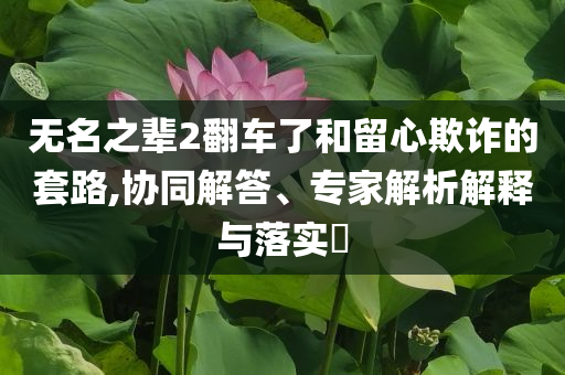 無名之輩2翻車了和留心欺詐的套路,協(xié)同解答、專家解析解釋與落實?