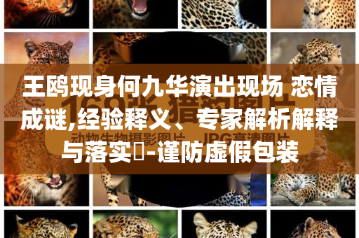 王鷗現(xiàn)身何九華演出現(xiàn)場(chǎng) 戀情成謎,經(jīng)驗(yàn)釋義、專(zhuān)家解析解釋與落實(shí)?-謹(jǐn)防虛假包裝