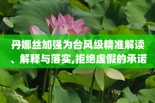 丹娜絲加強(qiáng)為臺(tái)風(fēng)級(jí)精準(zhǔn)解讀、解釋與落實(shí),拒絕虛假的承諾