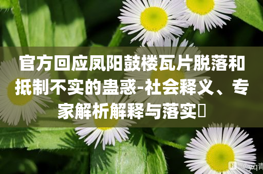 官方回應鳳陽鼓樓瓦片脫落和抵制不實的蠱惑-社會釋義、專家解析解釋與落實?