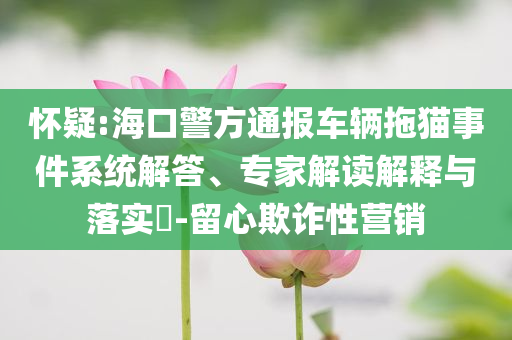 懷疑:?？诰酵▓?bào)車輛拖貓事件系統(tǒng)解答、專家解讀解釋與落實(shí)?-留心欺詐性營(yíng)銷