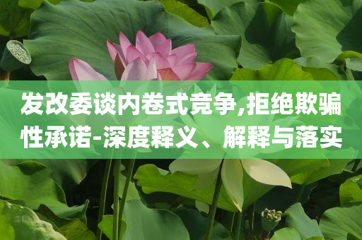 發(fā)改委談內(nèi)卷式競(jìng)爭(zhēng),拒絕欺騙性承諾-深度釋義、解釋與落實(shí)
