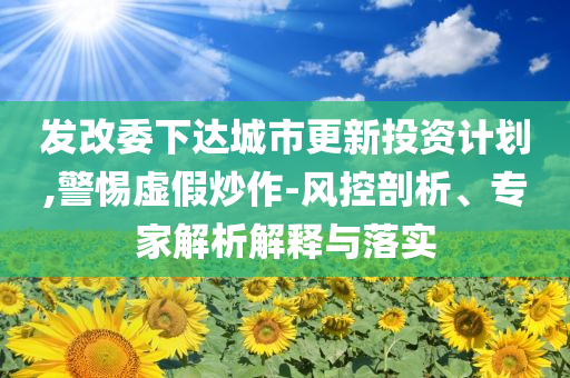 發(fā)改委下達(dá)城市更新投資計(jì)劃,警惕虛假炒作-風(fēng)控剖析、專(zhuān)家解析解釋與落實(shí)